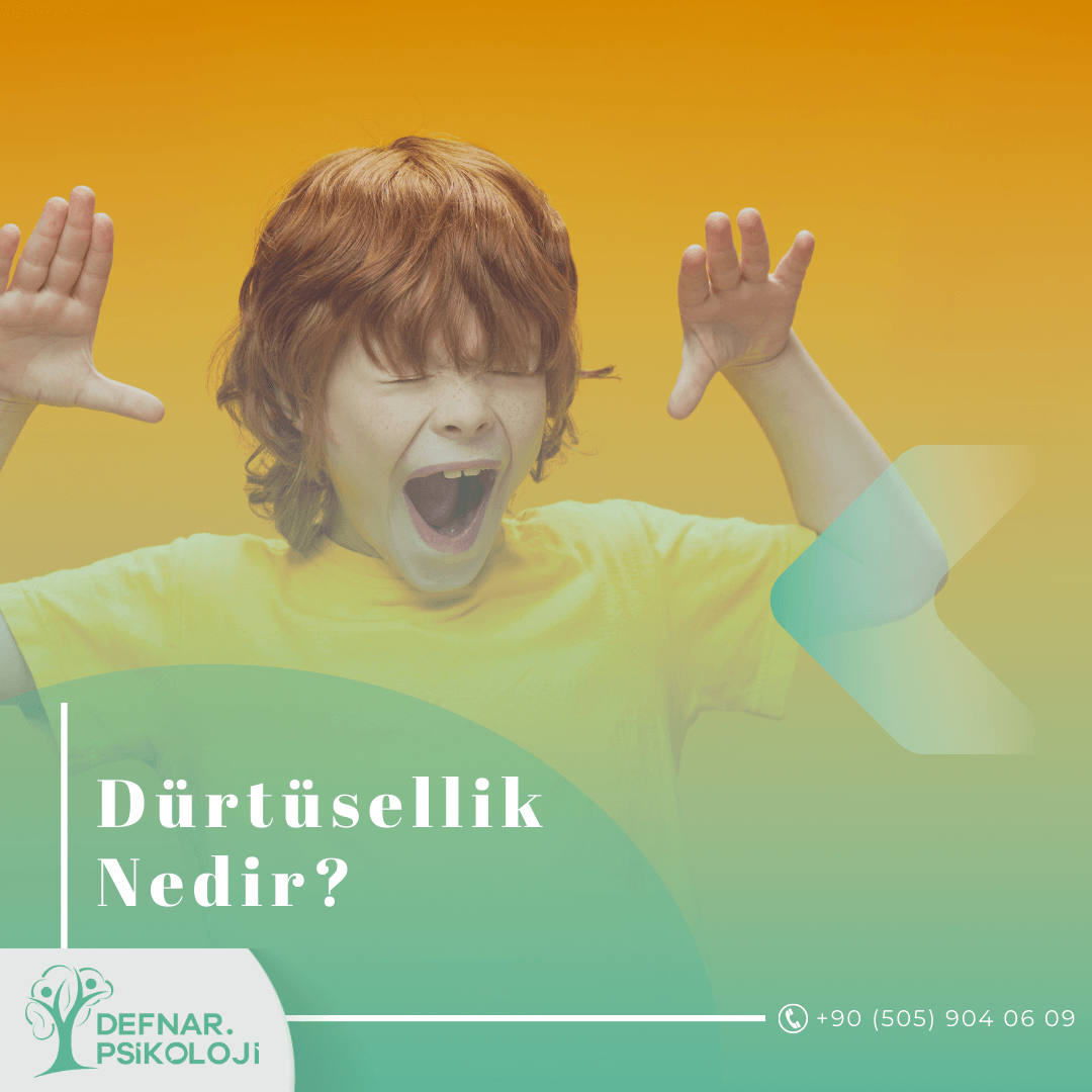 Dürtüsellik Nedir?
