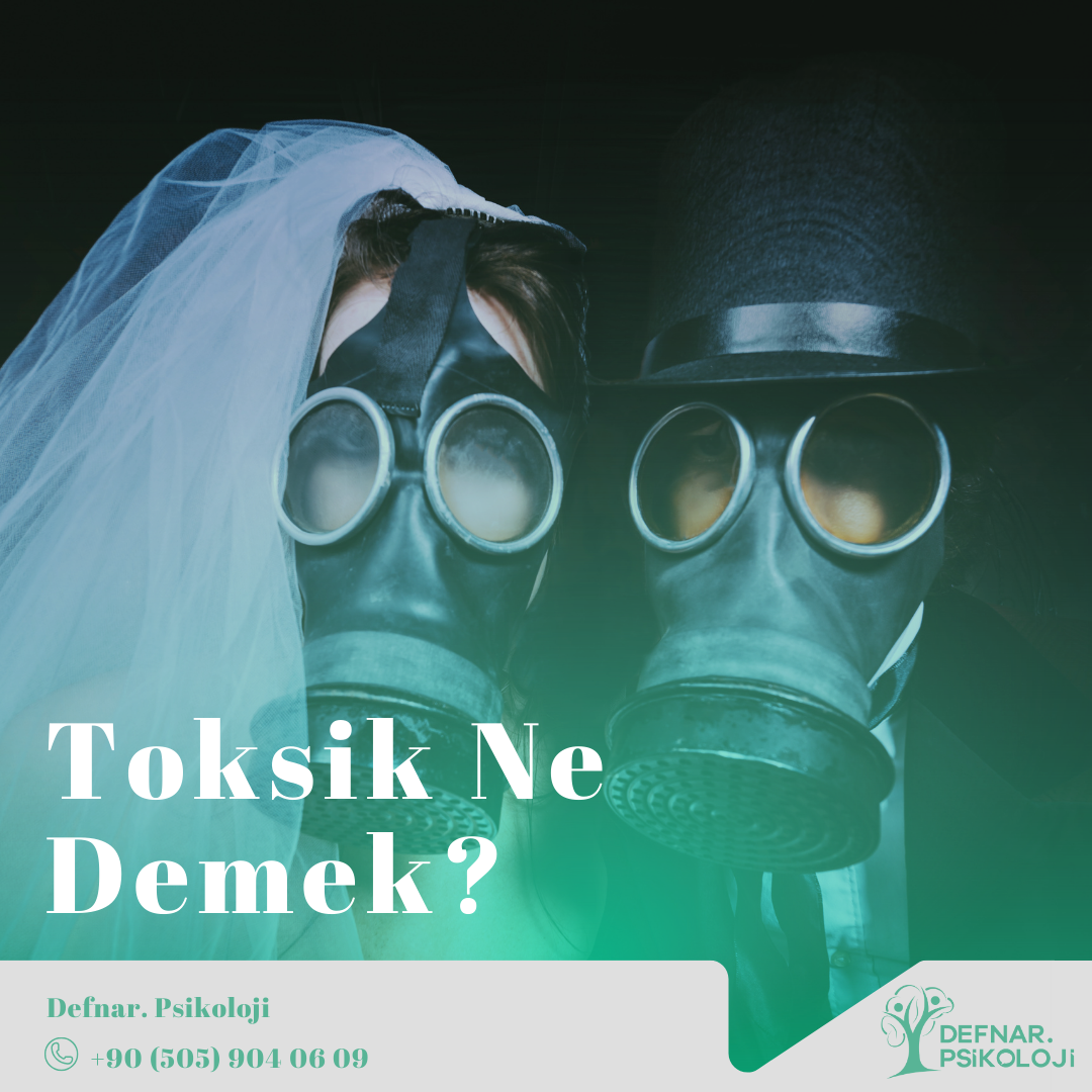 Toksik Ne Demek?