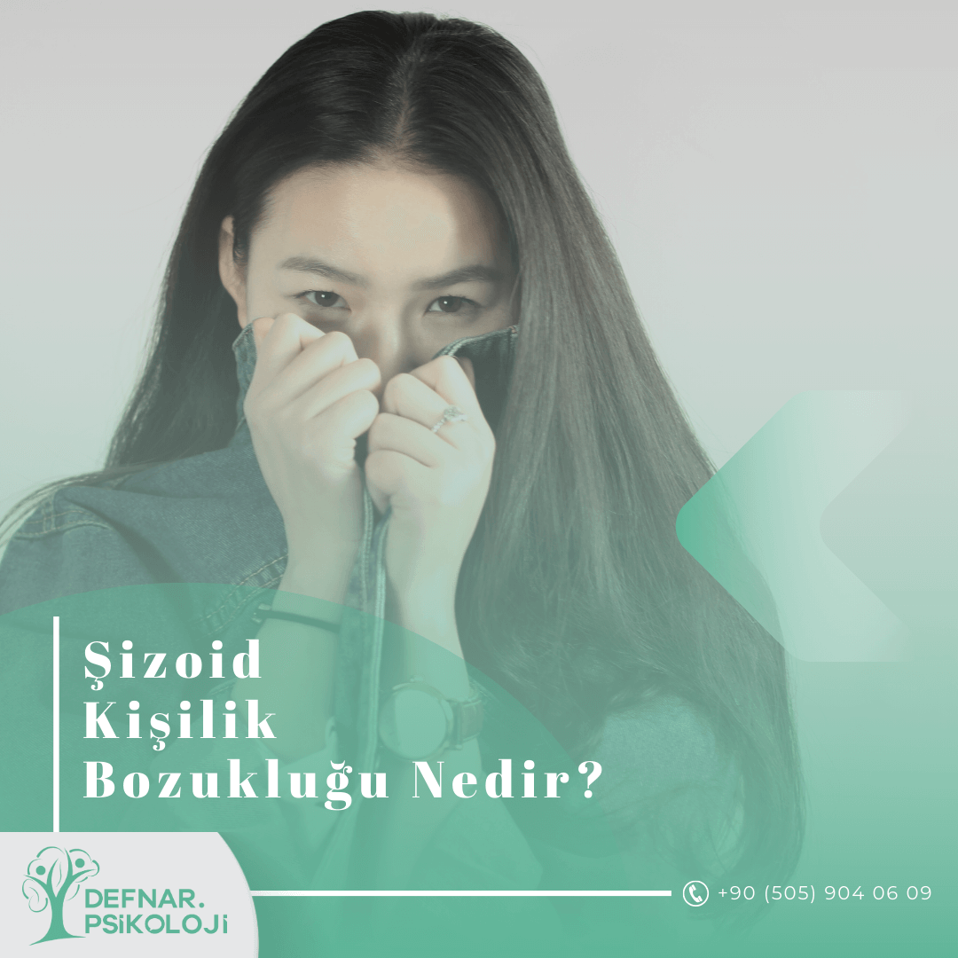 Şizoid Kişilik Bozukluğu