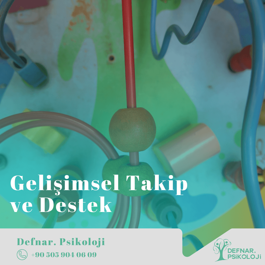 Gelişimsel Takip ve Destek