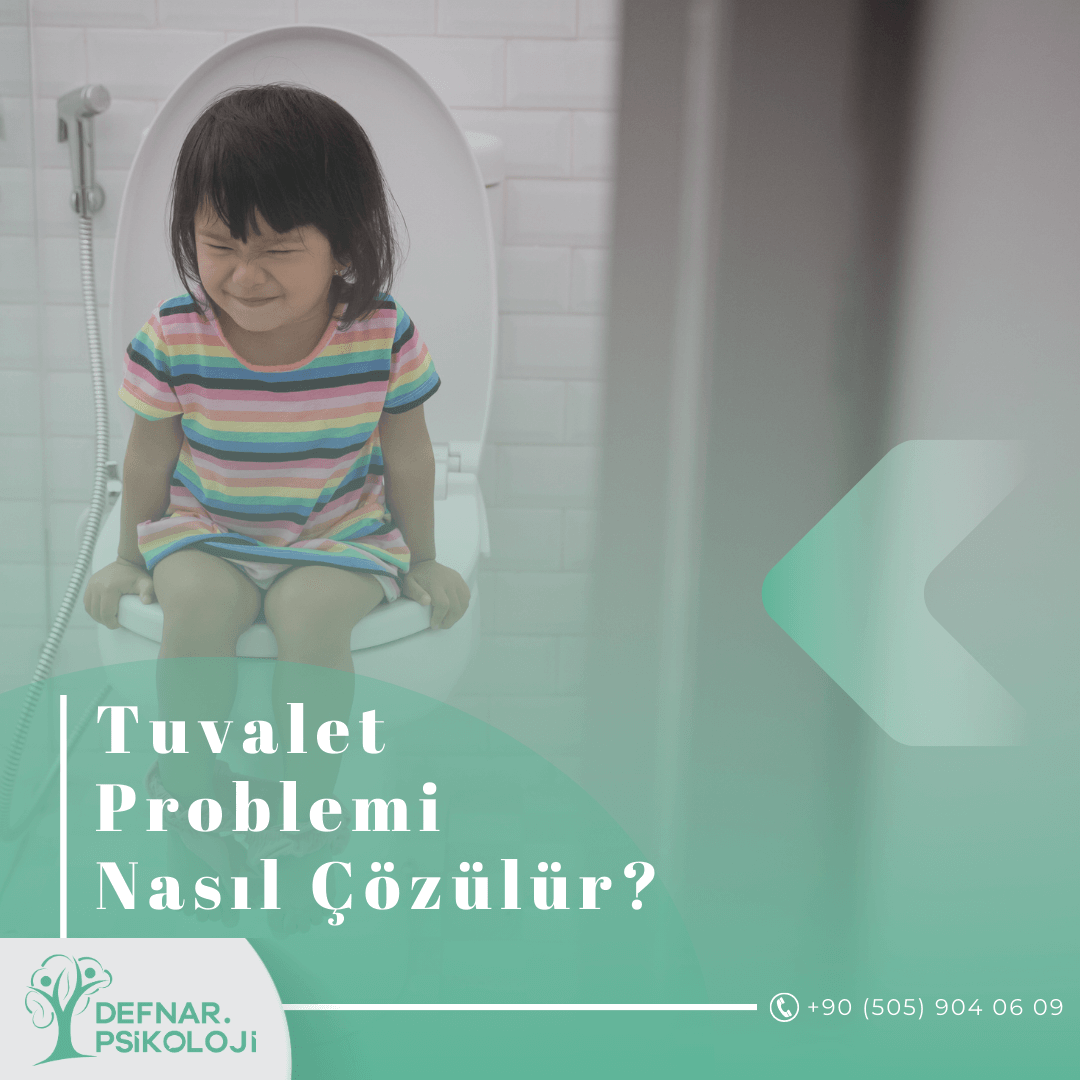 Tuvalet problemi nasıl çözülür?