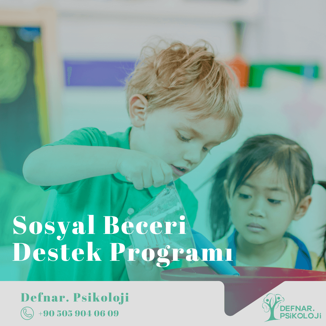 Sosyal Beceri Destek Programı