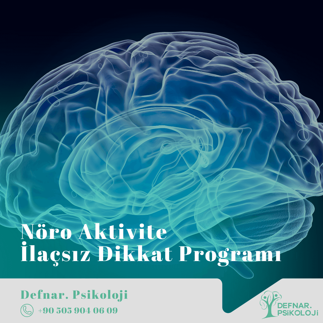 Nöro Aktivite İlaçsız Dikkat Programı